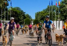 Bike & Bark with Maya: eveniment caritabil pentru animalele salvate de FURRYTALES
