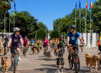 Bike & Bark with Maya: eveniment caritabil pentru animalele salvate de FURRYTALES