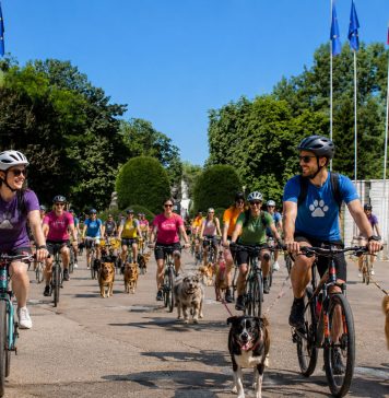 Bike & Bark with Maya: eveniment caritabil pentru animalele salvate de FURRYTALES