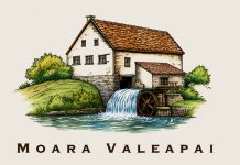 Un simbol al Banatului renaște: proiect de restaurare pentru Moara Valeapai (foto)