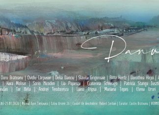 „Danube Revisited”, o nouă expoziție de artă contemporană la Muzeul Apei din Timișoara
