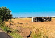 Șofer rănit după ce un autocamion a ieșit de pe șosea și s-a răsturnat în Timiș