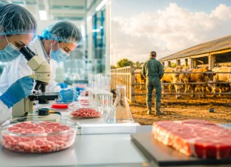 România ar putea interzice temporar carnea cultivată în laborator