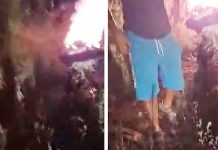 Poliția Locală Timișoara a aplicat amenzi de 75.000 de lei după incendierea unor deșeuri