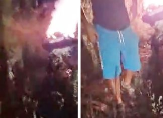 Poliția Locală Timișoara a aplicat amenzi de 75.000 de lei după incendierea unor deșeuri