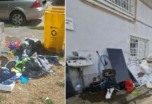 Poliția Locală Timișoara a dat amenzi de 110.000 de lei pentru nereguli privind salubrizarea