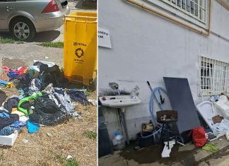 Poliția Locală Timișoara a dat amenzi de 110.000 de lei pentru nereguli privind salubrizarea