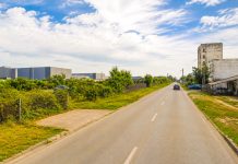 Timișoara vrea să mute toate sălile de jocuri de noroc într-o zonă industrială