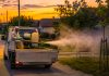 Dezinsecție în Sânmihaiu Român pe 11 august. Ce recomandări transmite Primăria