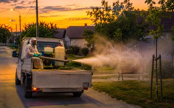 Dezinsecție în Sânmihaiu Român pe 11 august. Ce recomandări transmite Primăria